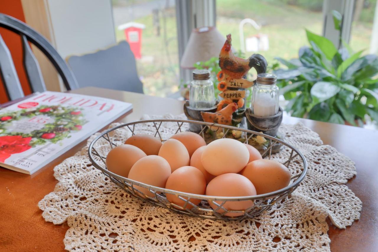 Hammer Creek Hideaway B&B Lititz Luaran gambar